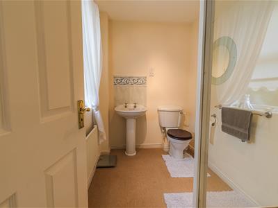 Picture 7